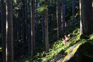 Frau meditiert in der Sonne im Wald