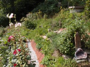 Garten im Wandelhaus