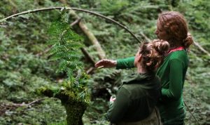 zwei Teilnehmerinnen der Naturcoaching Ausbildung