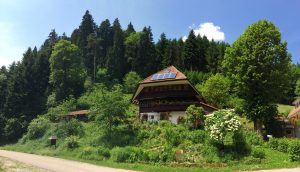 Seminarhaus das Wandelhaus als Seminarort
