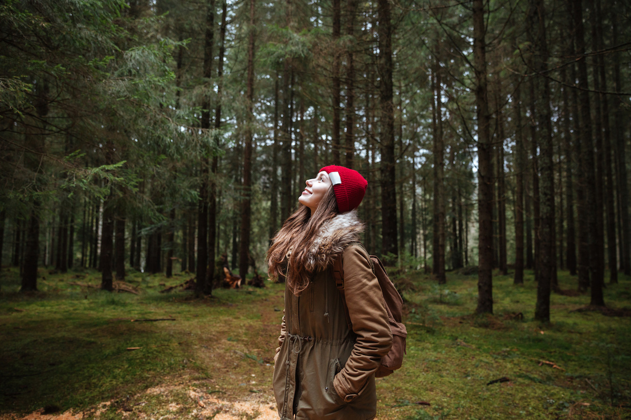Shinrin-Yoku – Waldbaden