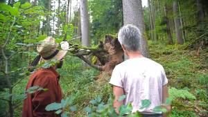 Naturcoach und Klientin betrachten eine Wurzel im Wald