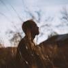 pexels-spencer-selover-775417