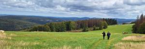Eine weite Wiese und ein episches Panorama mit Naturcoachingteilnehmern.