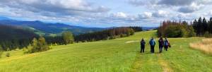 eine Wandergruppe auf einer Schwarzwaldhöhe mit Panorama